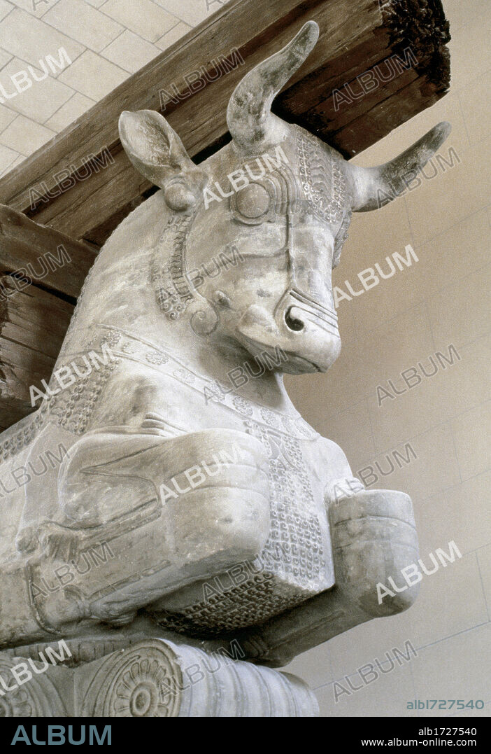 Double Bull-capital of a column from the audience hall of the palace of Darius I. Detail of the colossal capital from one of the columns which supported the roof of the apadana at Susa. Iran. Gray limestone, ca. 510 BC. Detail. Louvre Museum. Paris, France.