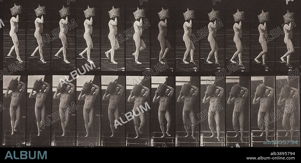 EADWEARD MUYBRIDGE. Animal Locomotion, Plate 136. Date/Period: 1887. Photograph. Collotype. Height: 457.20 mm (18 in); Width: 584.20 mm (23 in).