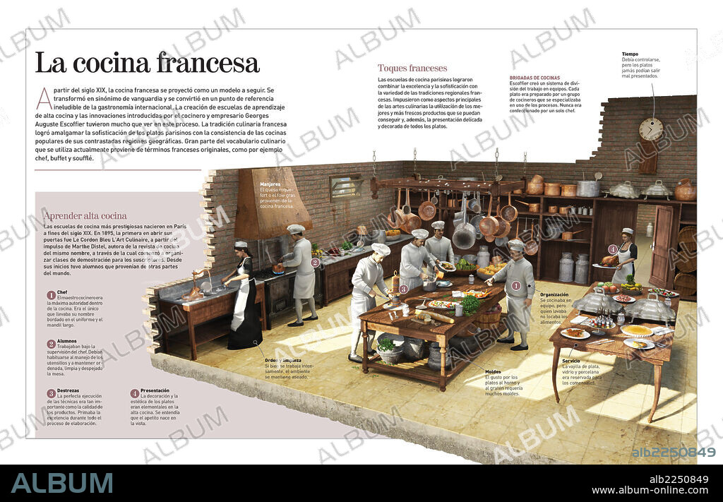 La cocina francesa. Infografía sobre las prestigiosas escuelas de cocina francesa que nacieron a finales del siglo XIX y cuya influencia se extendió a todo el mundo.