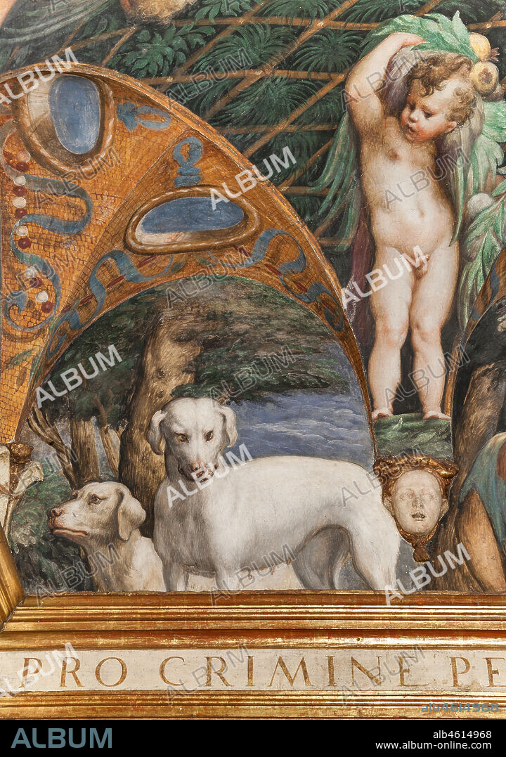 Parma, Fontanellato, Rocca Sanvitale, room of Diana and Actaeon: detail with dogs, from the cycle of frescoes by Parmigianino (Girolamo Francesco Maria Mazzola) depicting the myth of Diana and Actaeon, taken from Ovid's Metamorphoses. The room, frescoed in 1524, probably was the bathroom of Paola Gonzaga, wife of Galeazzo Sanvitale.