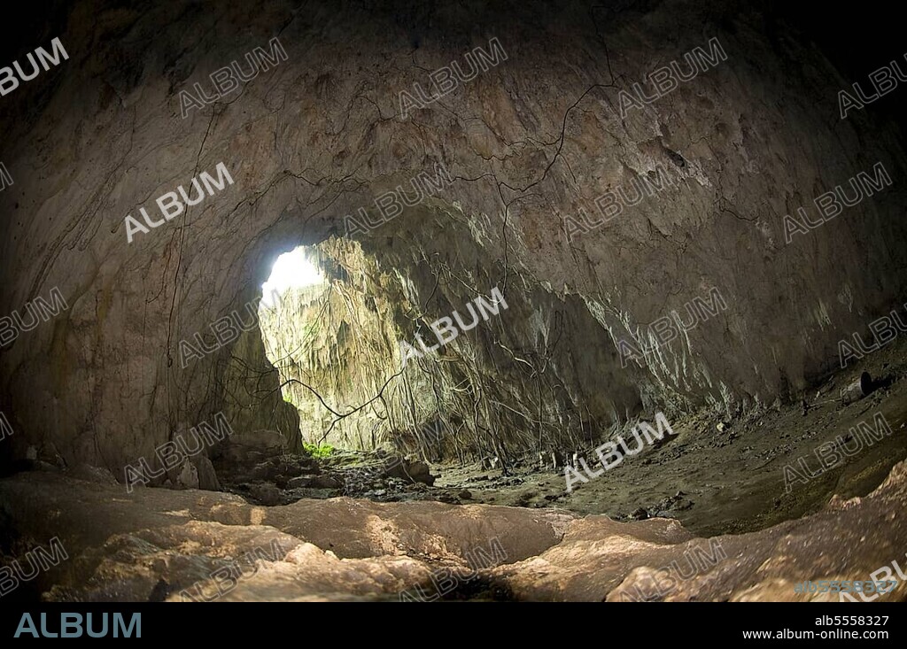 Inside the cave, known as the Japanese Cave because 5000 Japanese were killed here during World War II, Gua Binsari, Biak, West Papua (Irian Jaya), Indonesia, Asia.