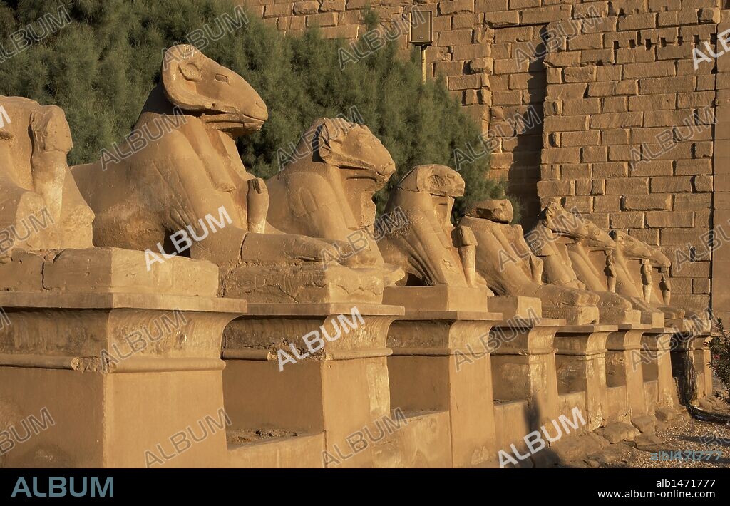 ARTE EGIPCIO. EGIPTO. TEMPLO DE KARNAK. AVENIDA DE LAS ESFINGES, con cabeza de CARNERO (símbolo del dios AMON). Construída durante el reinado de Ramses II. Dinastía XIX. Imperio Nuevo. Alrededores de Luxor (antigua Tebas "Waset").