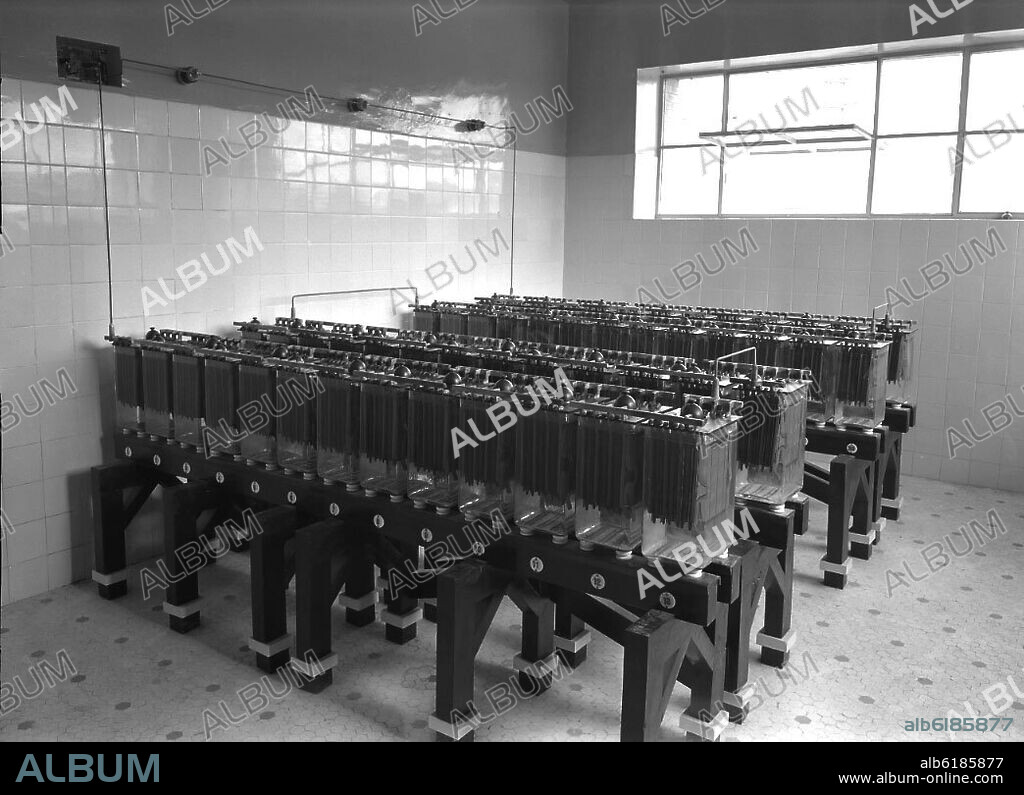 BATERIAS ELECTROLITICAS - FOTOGRAFIA EN BLANCO Y NEGRO - AÑOS 50.