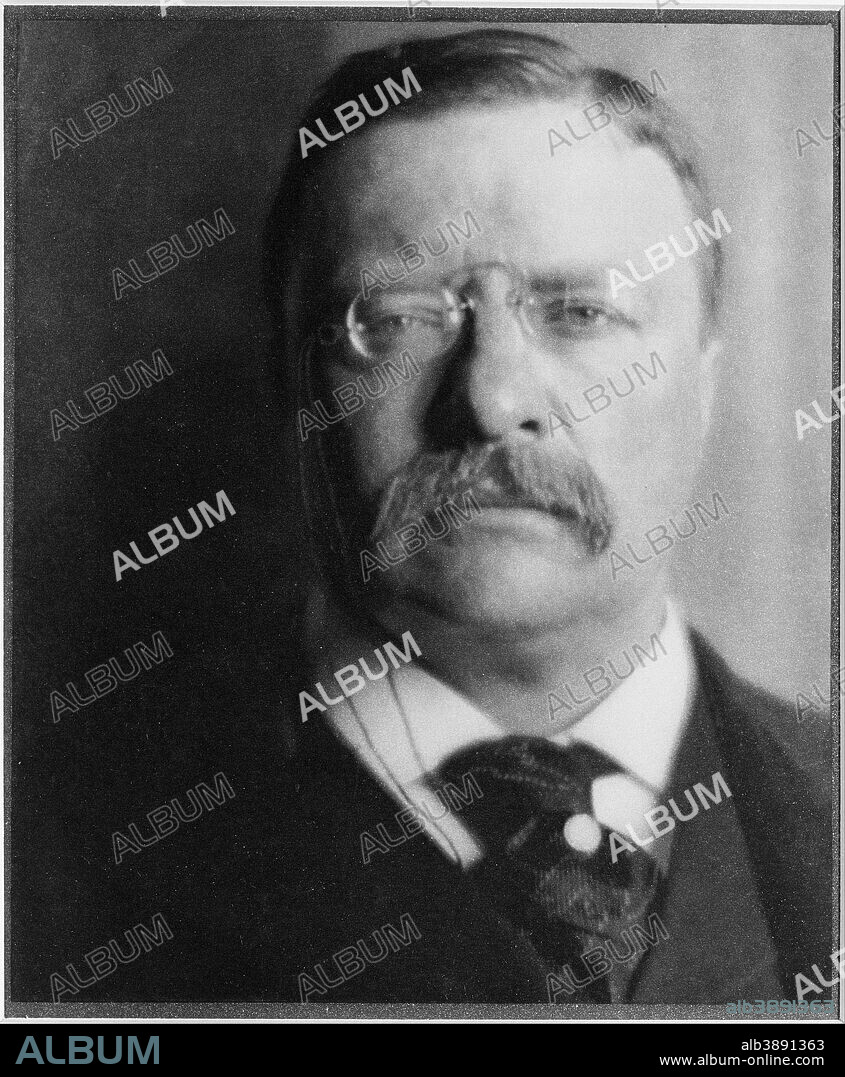 ALVIN LANGDON COBURN. Theodore Roosevelt. Date/Period: 1907 (printed 1913). Photogravure. Photograph. Height: 197 mm (7.75 in); Width: 163 mm (6.41 in).