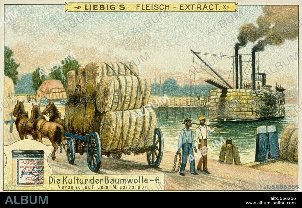 ANONYM. Landwirtschaft:. Baumwollanbau. "Versand auf dem Mississippi". Farblithographie, um 1900. Sammelbildchen der Compagnie Liebig's Fleisch-Extract. Nr. 6 der Serie: Die Kultur der Baumwolle.