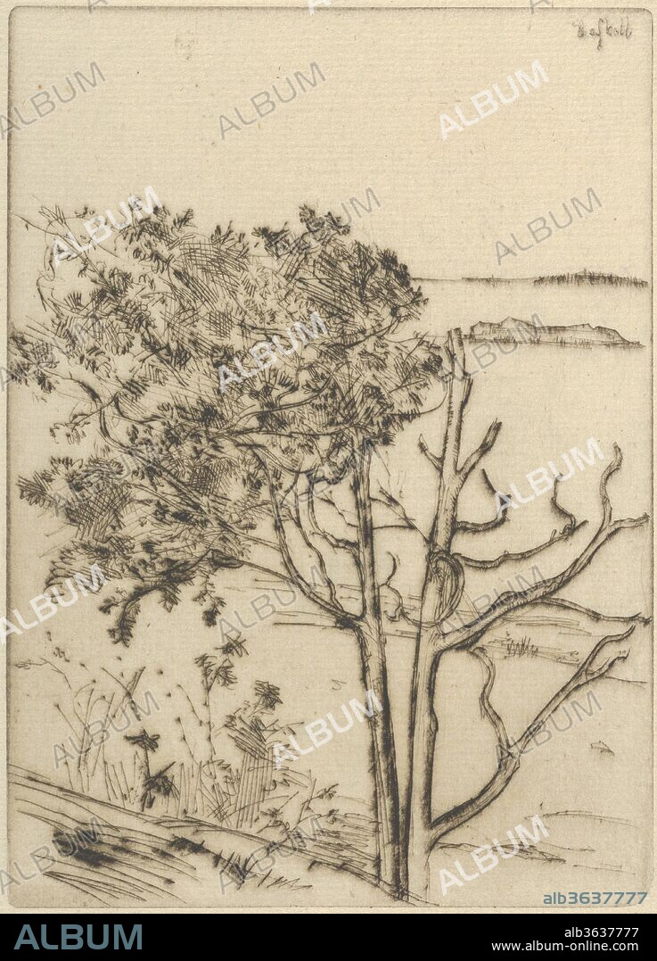 Ragged Tree - Maine. Artist: Ernest Haskell (American, Woodstock, Connecticut 1876-1925 West Point, Maine). Dimensions: Sheet: 8 11/16 × 5 7/8 in. (22.1 × 15 cm)
Plate: 7 1/16 × 5 1/16 in. (17.9 × 12.8 cm). Date: 1903-25.