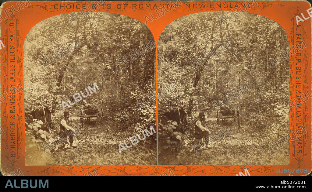 A man pausing with his horse and buggy on a narrow rural lane., still image, Stereographs, 1850 - 1930, Farrar, Charles A. J. (Charles Alden John) (d. 1893).