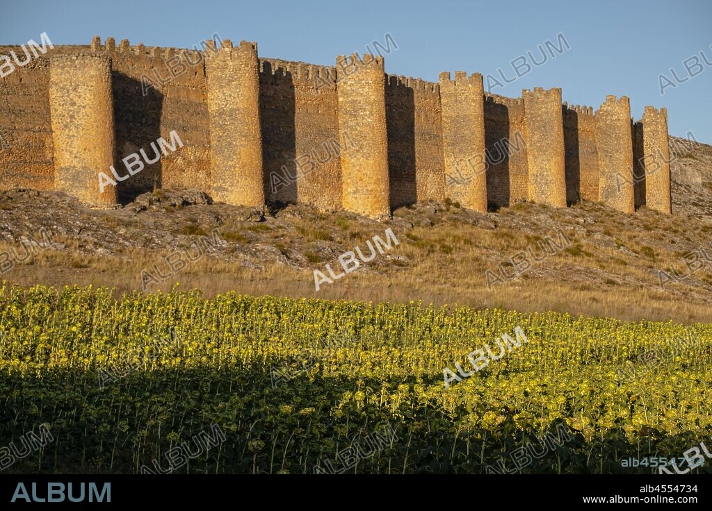 cerca vieja, siglos X-XII, castillo del siglo XV, Berlanga de Duero, Soria, comunidad autónoma de Castilla y León, Spain, Europe.