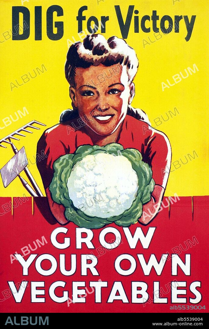 One of the most memorable campaigns during World War Two, was the 'Dig for Victory' campaign. Any piece of land that could be turned over to the use of growing fruit and vegetables was made use of. Even those who hadn’t considered their fingers to be green before the war, picked up their spades and gave veggie gardening a go. Everyone was offered help and guidance from the Ministry of Agriculture, to get growing.