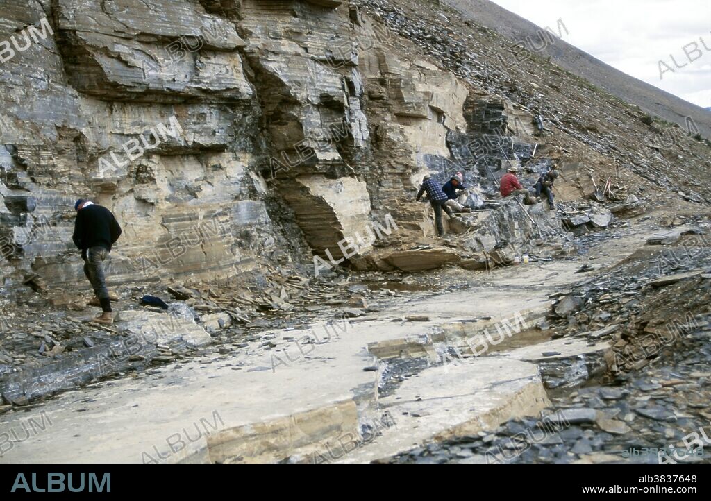 The excavation site at Burgess shale, a black shale fossil bed which has produced extremely well-preserved, diverse and unusual fossils. It was named after the nearby Mount Burgess in the Canadian Rockies.