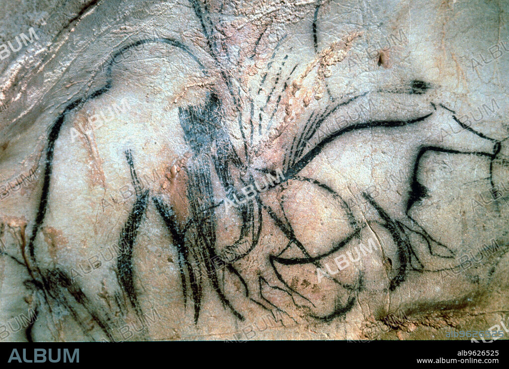 Chapel of mammoths (Pech-Merle cave): by solid line and width profile figures has resulted in an overlap of zoomorphic, they are all game animals, detail of a mammoth and bovid.