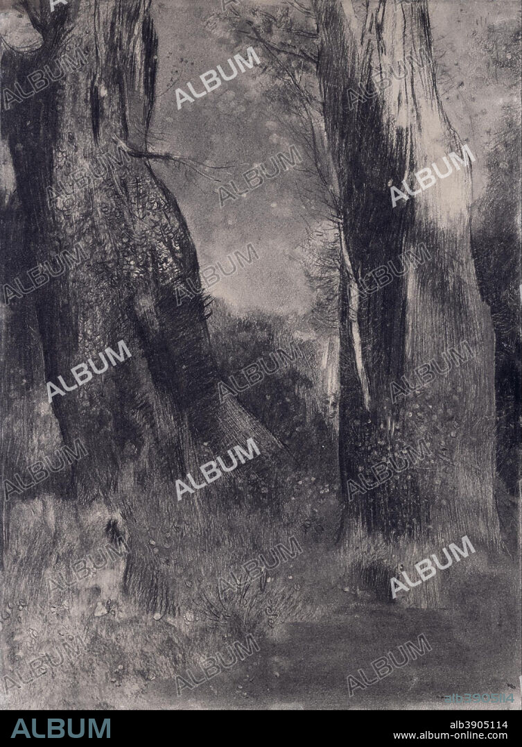 ODILON REDON. The Trees. Date/Period: 1890s. Drawing. Charcoal on paper Charcoal on paper. Height: 50.20 mm (1.97 in); Width: 37.50 mm (1.47 in).