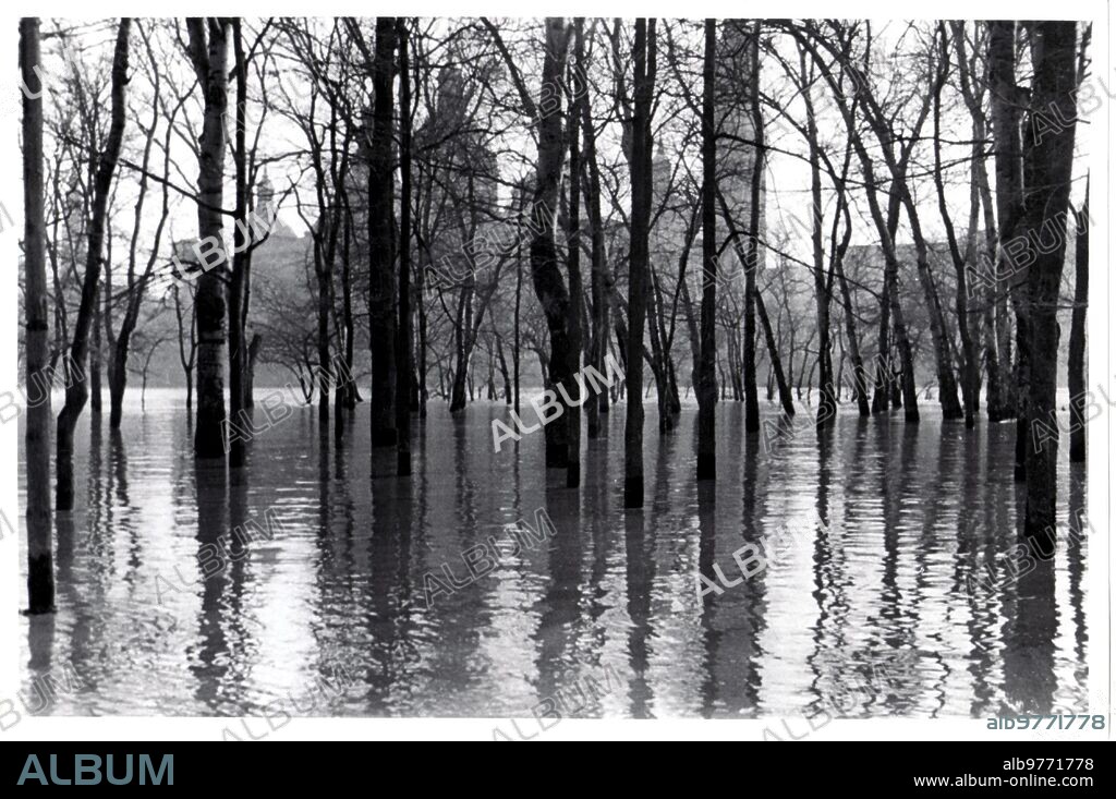 Zaragoza, enero de 1941. Crecida del Ebro. La Arboleda de Macanaz inundada.