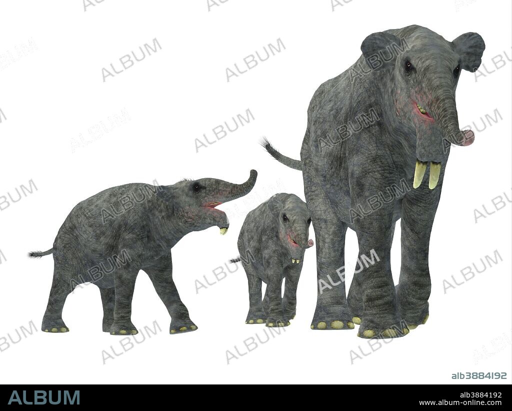 Deinotherium with offspring. Deinotherium was an enormous land mammal that lived in Asia, Africa and Europe during the Miocene to Pleistocene Periods.