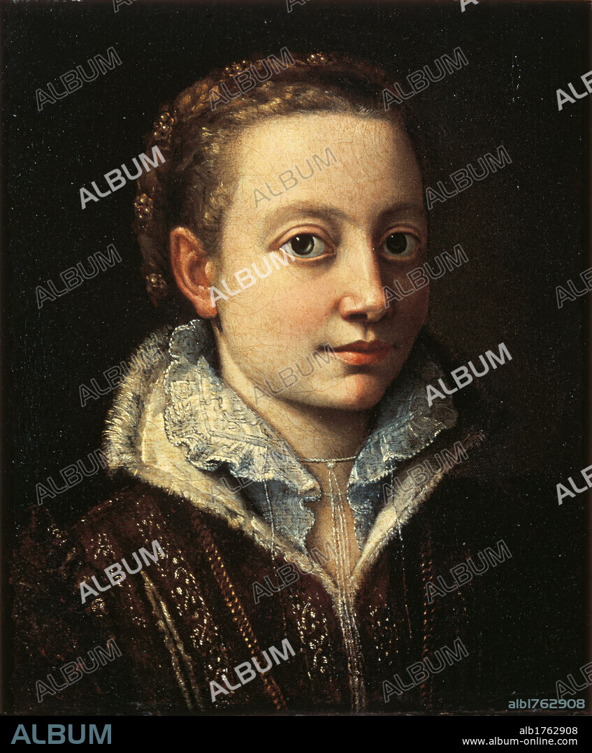 The Artists Sister Minerva Anguissola, by Sofonisba Anguissola, 1560 post, 17th Century, oil on canvas, cm 36 x 29. Italy, Lombardy, Milan, Brera Art Gallery. All. Feminine half length portrait shirt laces overgarment fur coat damask black white brown. Authorization required for non editorial use.