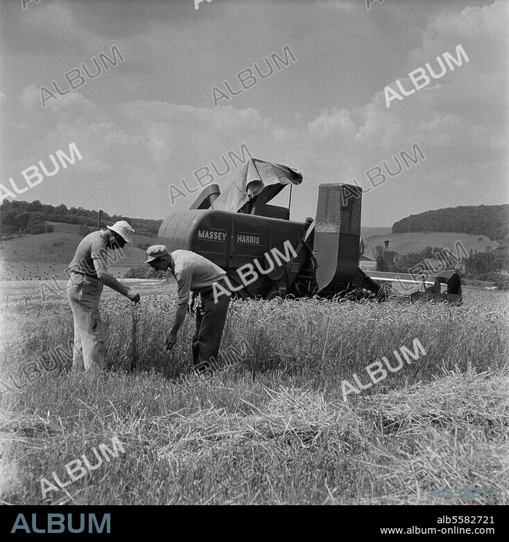 Agriculture : moissons. Moissonneuse-batteuse en Normandie.