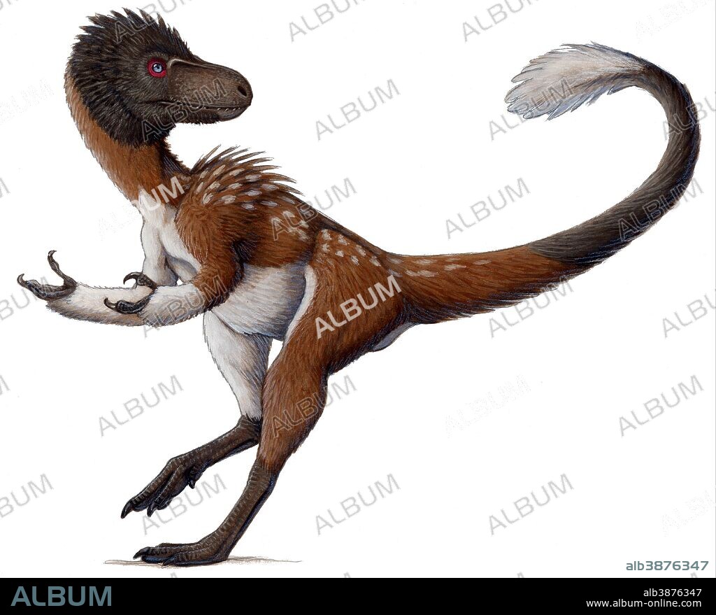 Dilong paradoxus, a small feathered ancestor of the tyrannosaurus, all fluffed up and feeling sassy. Acrylic painting.