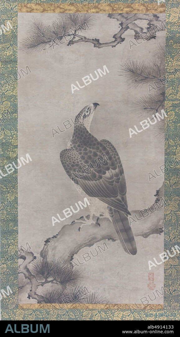 Kano Yukinobu, Hawk on a Pine (Sh zu, Japan, Muromachi period (13921573), Kano Yukinobu (Japanese, ca. 15131575), 16th century, Japan, Hanging scroll; ink on paper, Image: 32 7/8 × 16 7/16 in. (83.5 × 41.7 cm), Overall with mounting: 63 3/8 × 20 3/4 in. (161 × 52.7 cm), Overall with knobs: 63 3/8 × 22 15/16 in. (161 × 58.3 cm), Paintings.