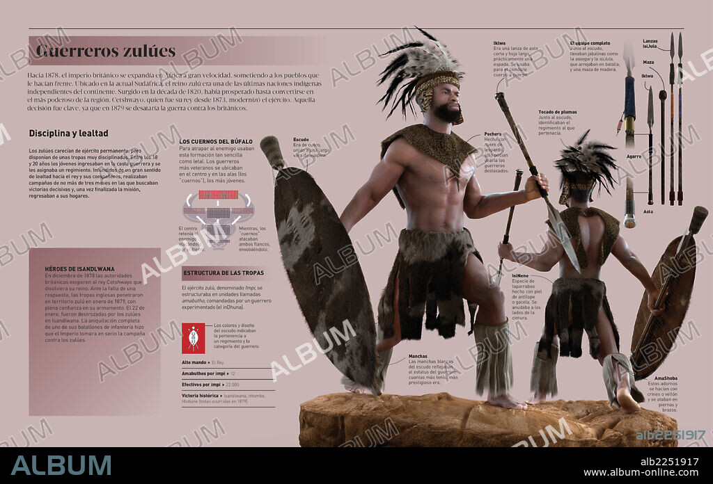 Zulu warriors. Infographic on Zulu warriors.