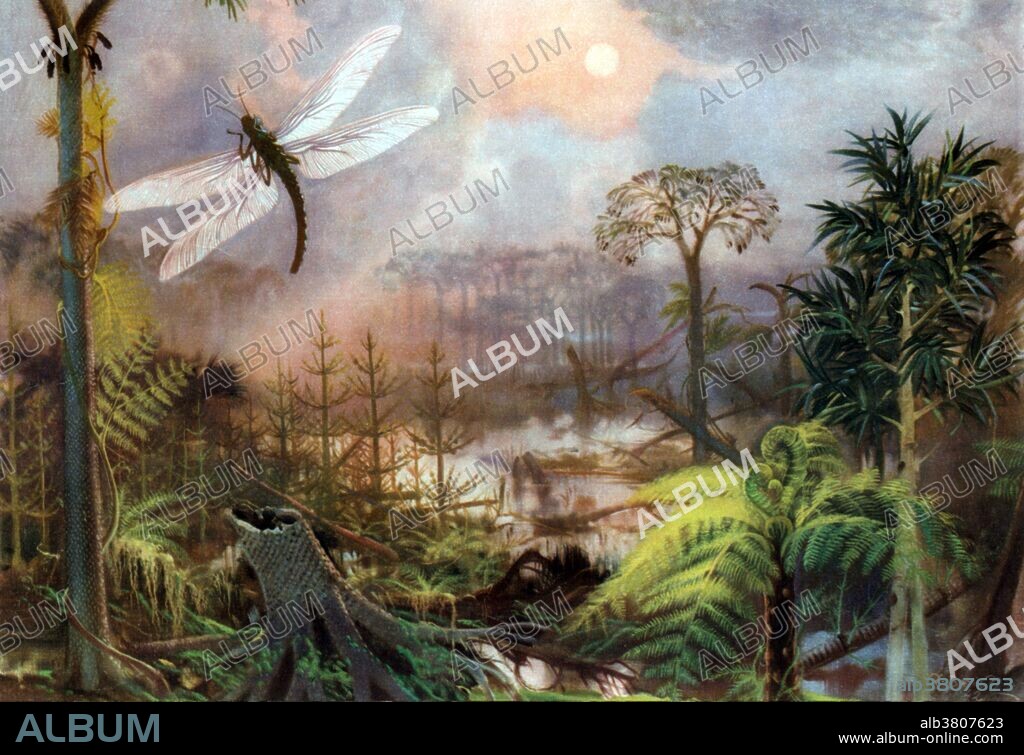 Meganeura is a genus of extinct insects from the Carboniferous period, which resembled and are related to the present day dragonflies. Meganeura were predatory, and fed on other insects, and even small amphibians. Carboniferous is the fifth period of the Paleozoic Era. It spanned from about 355-295 million years ago. The rocks that formed during this time interval are known as the Carboniferous System; they include a wide variety of sedimentary, igneous, and metamorphic rocks. The economic importance of the Carboniferous is evident in its name, which refers to coal, the important energy source that fueled the industrialization of northwestern Europe in the early 1800s and led to the Carboniferous being one of the first geologic systems to be studied in detail. The Pennsylvanian is, in the ICS geologic timescale, the younger of two sub-periods of the Carboniferous Period. It lasted from roughly 323-298 million years ago. The rock beds that define the Pennsylvanian are well identified, but the exact date of the start and end are uncertain by a few million years. The Pennsylvanian is named after the American state of Pennsylvania, where the coal productive beds of this age are widespread.