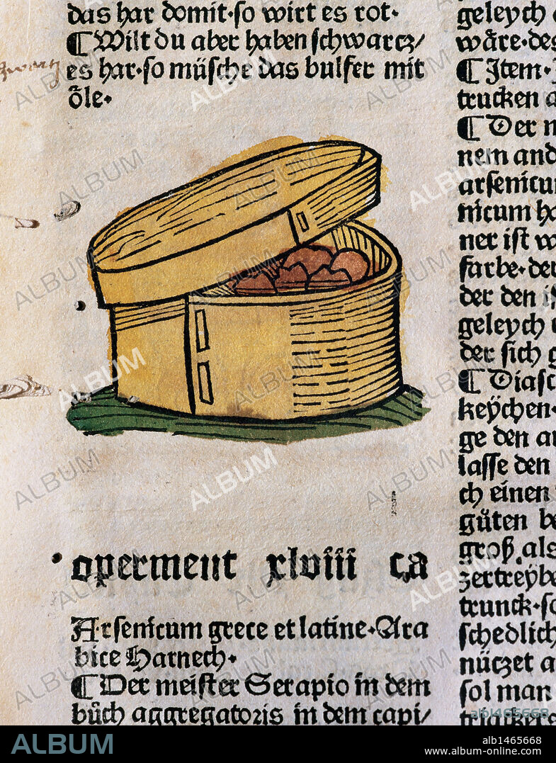 Hortus Sanitatis (Gart der Gesundheit). Book of natural history written by the German doctor Johann Wonnecke von Kaub (Johannes de Cuba) (1430-1503). Page of the Tractatus De Herbis depicting Arsenic. Folio 32. Edited by Johann Schoensperger in Augsburg (Germany), 1487.