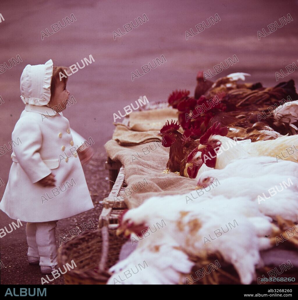 Niña mirando las aves en la feria de Santo Tomás en Barcelona. Años 70.