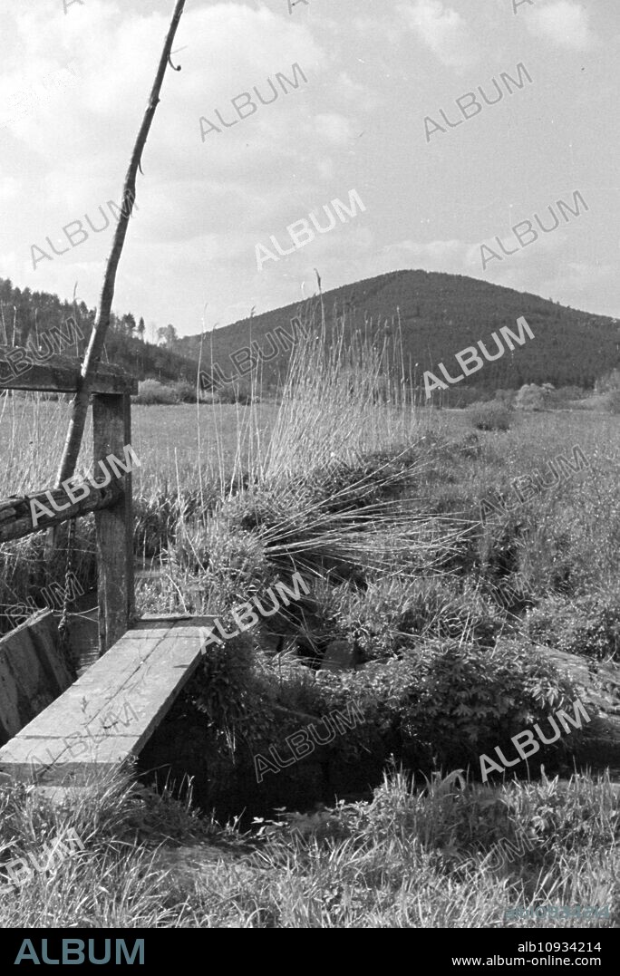 An excursion to the Forest of Odes, Germany 1930s.
