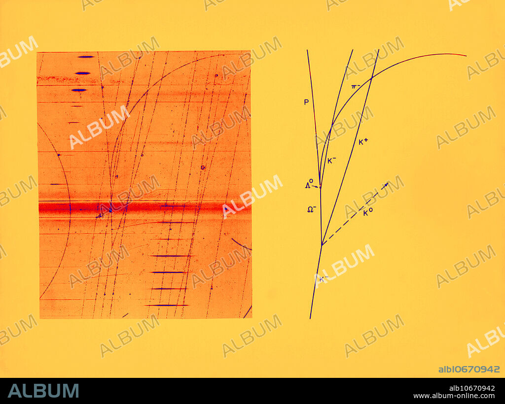 Liquid hydrogen bubble chamber photograph of the third observation of the production of a negatively-charged Omega meson. The sketch shows the proper assignments of a particle to each track. The paths of neutral particles, which produce no bubbles in the liquid hydrogen and therefore leaves no tracks, are shown by dashed lines. The presence and properties of the neutral particles are established by the analysis of the tracks of their charged decay products or the application of the laws of conservation of mass and energy, or a combination of both. The incoming K-negative meson from the Alternating Gradient Synchrotron collides with an unseen, stationary proton in the liquid hydrogen with the resultant production of a neutral K-meson, and positive K-meson, and the negative Omega-meson. The negative Omega-meson decays, after a lifetime of approximately one ten-billionth of a second, into a neutral Lambda hyperon and a negative K-meson. The Lambda hyperon then decays into a proton (p), and a negative Pi-meson. Photograph was taken in the 80-inch Liquid Hydrogen Bubble Chamber at BNL, 1964.