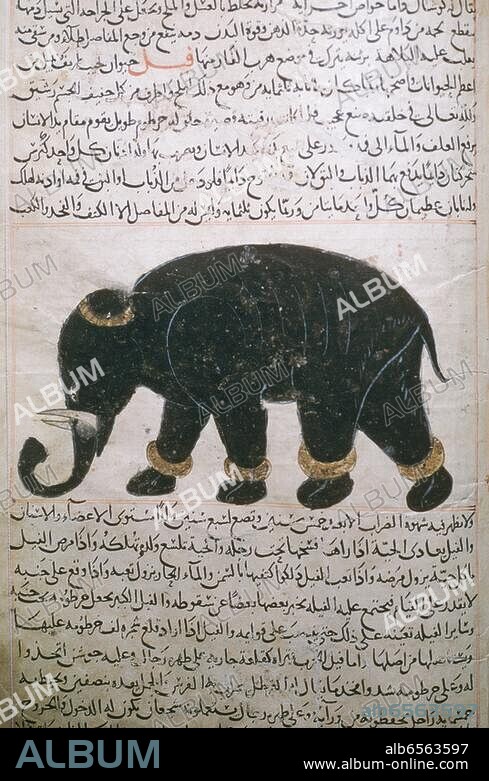 Zoologie / Elefant. Elefant. Arabische Miniatur, Wasit (Irak), 1280. /. Aus: Zakariya ibn Muhammad al-Qazvini (um 1200-1283), Aja'ib al-Makhluqat (Die Wunder der Geschöpfe und Besonderheiten der Dinge). Gouache auf Papier, Blattformat 30,5 × 20,5 cm. Cod. arab. 464. München, Bayerische Staatsbibliothek.