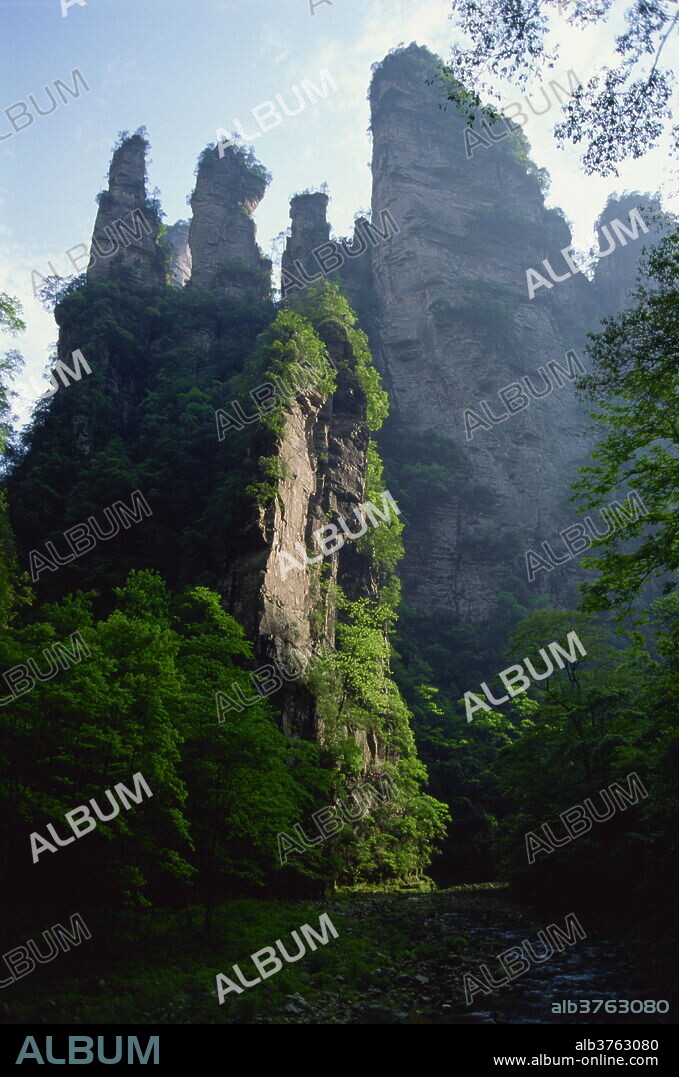 The spectacular limestone outcrops and forested valleys of Zhangjiajie Forest Park, Wulingyuan Scenic Area, UNESCO World Heritage Site, Hunan, China, Asia.
