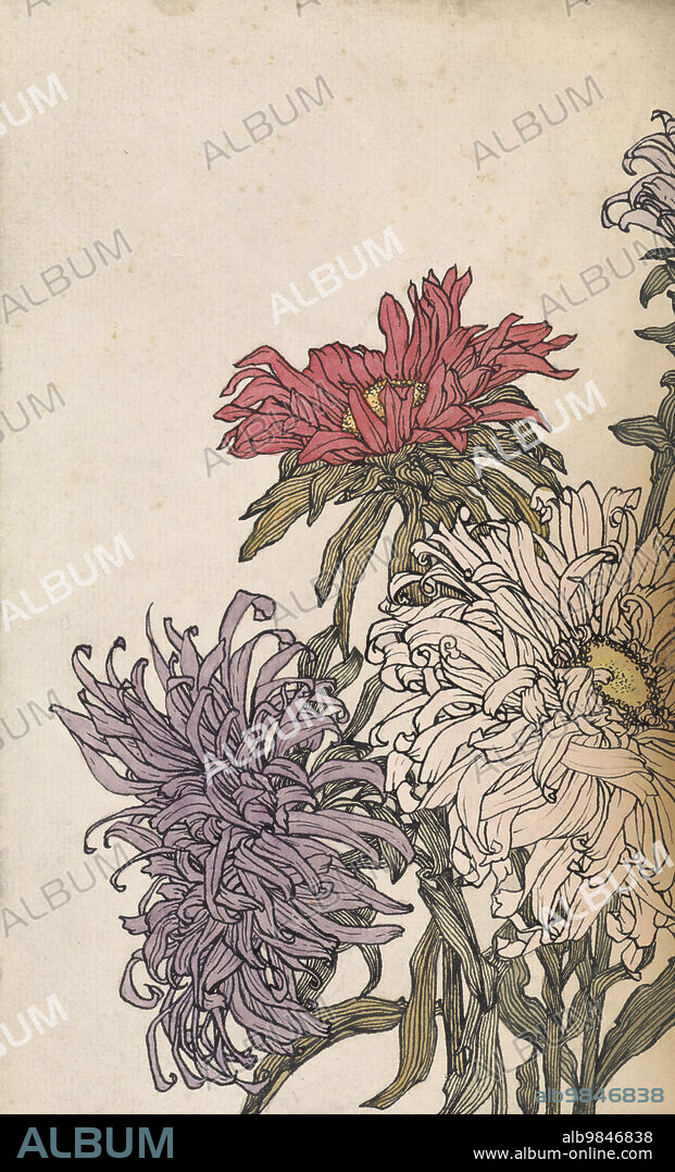 JULIE DE GRAAG. Chrysanthemums, 1887-1924.