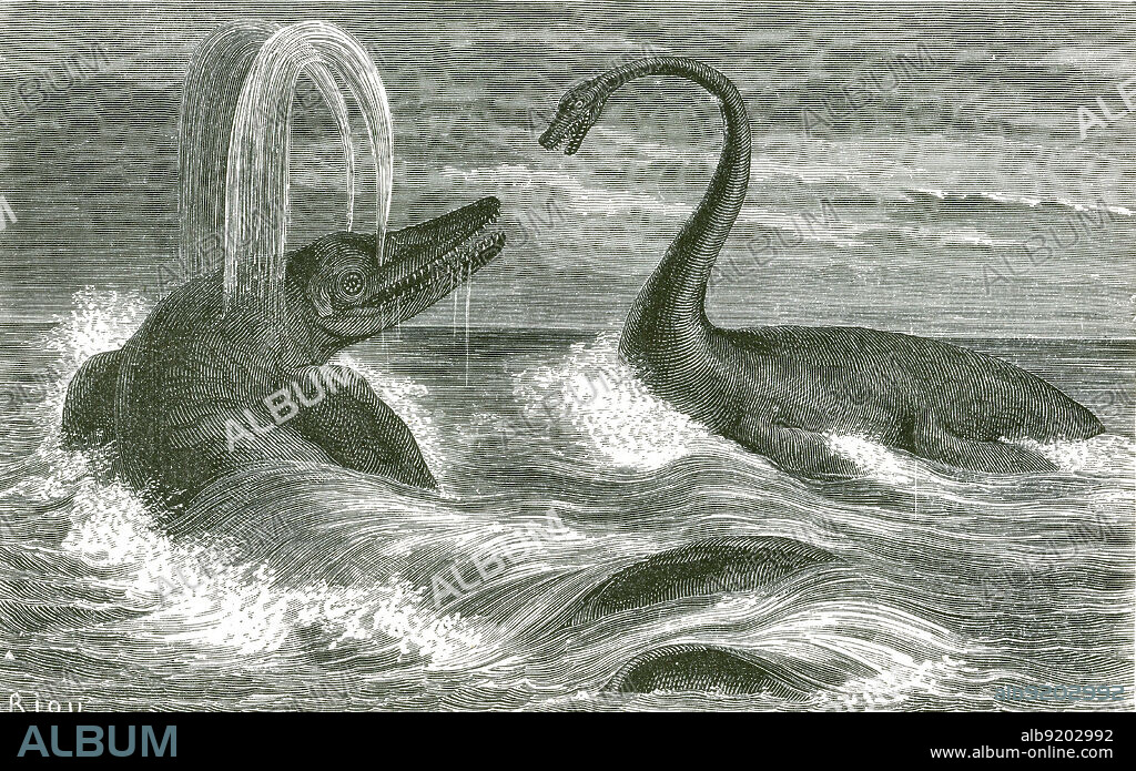 Illustration of ichthyosaurus and plesiosaurus, giant marine reptiles that lived during the Jurassic Period, from Louis Figuier's The World Before the Deluge, 1867 American edition.