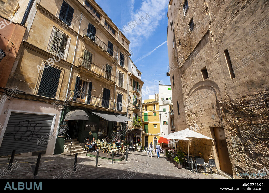 La Biblioteca de Babel, Carrer Arabí, Palma, Mallorca, balearic islands, Spain.