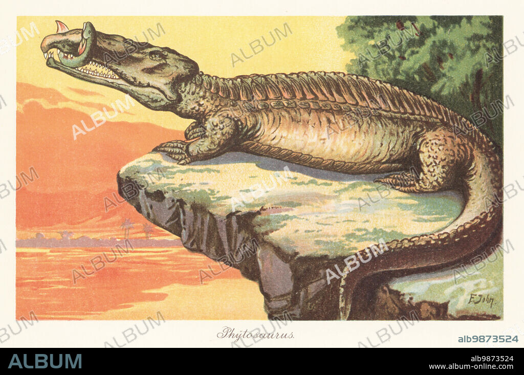 Reconstruction of a phytosaur, Nicrosaurus kapffi, of the Late Triassic. Krokodil, Belodon kapffii. It holds a a Ceratodus lungfish in its jaws. Phytosaurus. Colour printed illustration by F. John from Wilhelm Bolsches Tiere der Urwelt (Animals of the Prehistoric World), Reichardt Cocoa company, Hamburg, 1908.