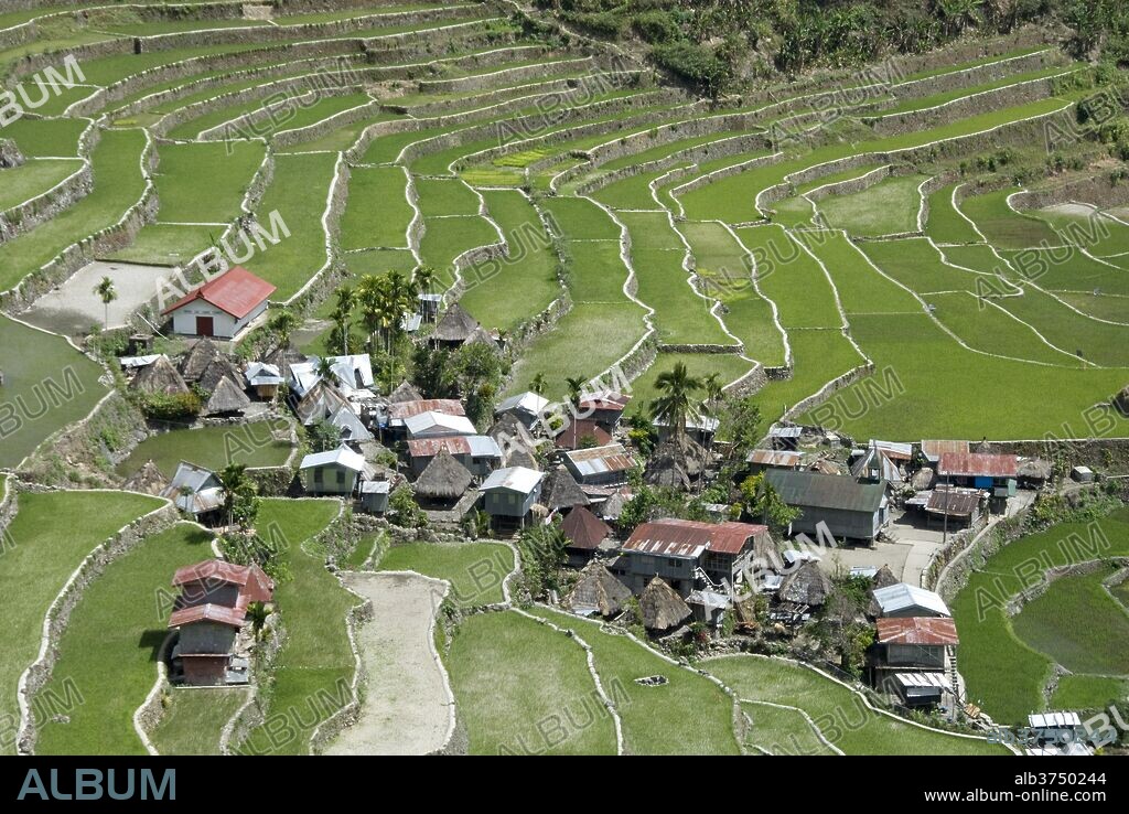 Stone-walled rice terraces of Ifugao culture at Batad village, part of Banaue area, UNESCO World Heritage Site, Cordillera, Luzon, Philippines, Southeast Asia, Asia.