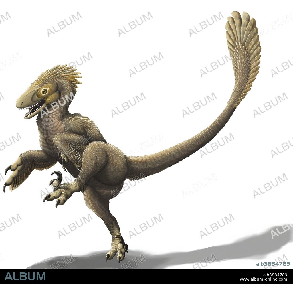 Balaur bondoc, a strange Romanian dromaeosaur, has two sickle claws and only two fingers on its hands.