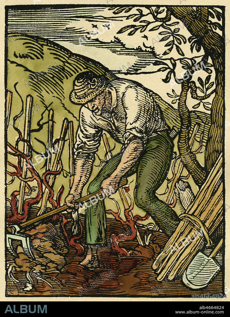 VIGNERON - Un paysan sarcle ses pieds de vigne. Le livre des Metiers (Satandebuch ) de Jost Amman et Hans Sachs, 1568, 16eme siecle, Renaissance. Gravure sur bois de Jost AMMAN (1539-1591) realisee en 1568, mise en couleur par nos soins. Collection KHARBINE-TAPABOR.