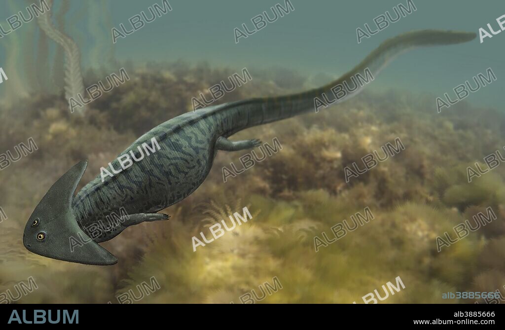 Diplocaulus salamandroides, a prehistoric animal from the Paleozoic Era.