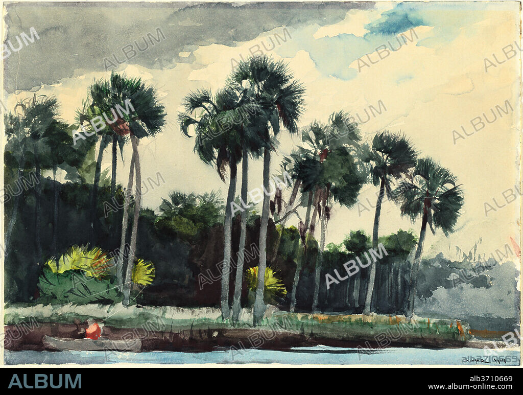 WINSLOW HOMER. Red Shirt, Homosassa, Florida. Dated: 1904. Dimensions: sheet: 35.4 × 50.2 cm (13 15/16 × 19 3/4 in.). Medium: watercolor over graphite on wove paper.