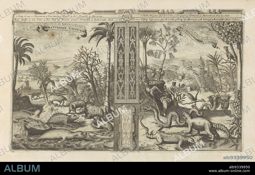Animals of the West Indies, West Indian Fishes, etc, Poissons, etc des Indes Occidentales, West Indian Ghosts, Monstres des Indes Occidentales (title on object), Les Indes Orientales et Occidentales et autres lieux (series title), Representation in two parts. Both left and right a landscape with animals from the West Indies, including a sea wolf, seal, armadillo and some snakes. In the background right an animal is being roasted on a spit over a fire. With a legend in Dutch and French. The print is part of an album., print maker: Romeyn de Hooghe, publisher: Pieter van der Aa (I) (mentioned on object), Leiden, 1682 - 1733, paper, etching, height 211 mm × width 343 mm.