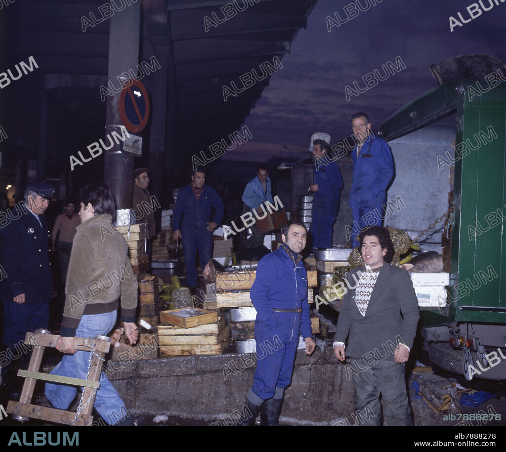 AUTOR LIBRE 01307. INTERIOR DEL MERCADO CENTRAL DE PESCADO EN EL ANTIGUO MERCADO DE LA PUERTA DE TOLEDO - FOTO AÑOS 70.