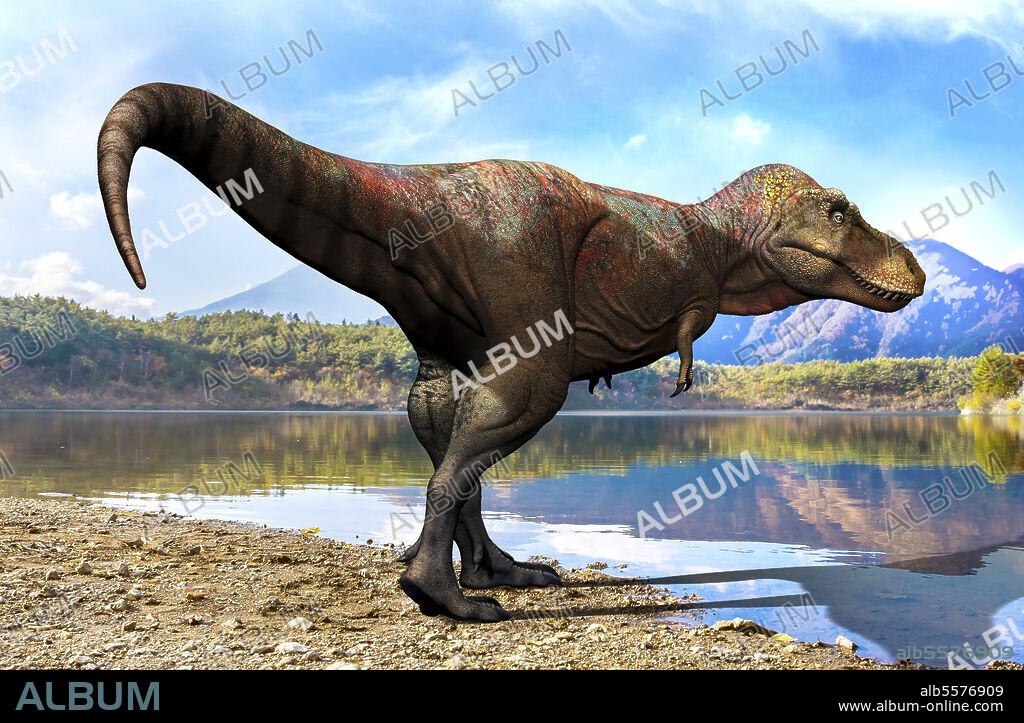 Zhuchengtyrannus dinosaur standing at the edge of a lake.