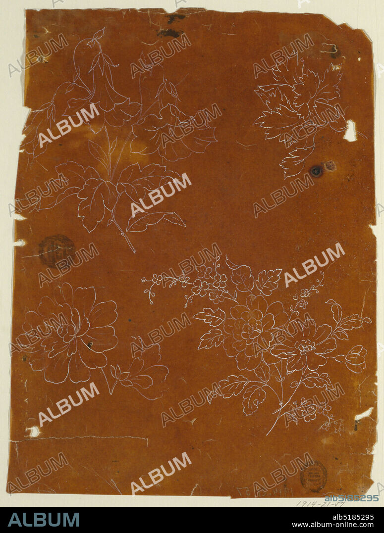 Tracings of Four Flower Boughs for Embroidery, Brush and white paint on dark tracing paper, mounted, Probably intended for emrboideries. Top row: a bough with leaves and three bell flowers; a bough with a bud and leaves. Bottom row: a forked bough with two blossoms; a bough with two wild roses and a bough with leaves and small-sized blossoms., France, 18251850, Drawing, Drawing.