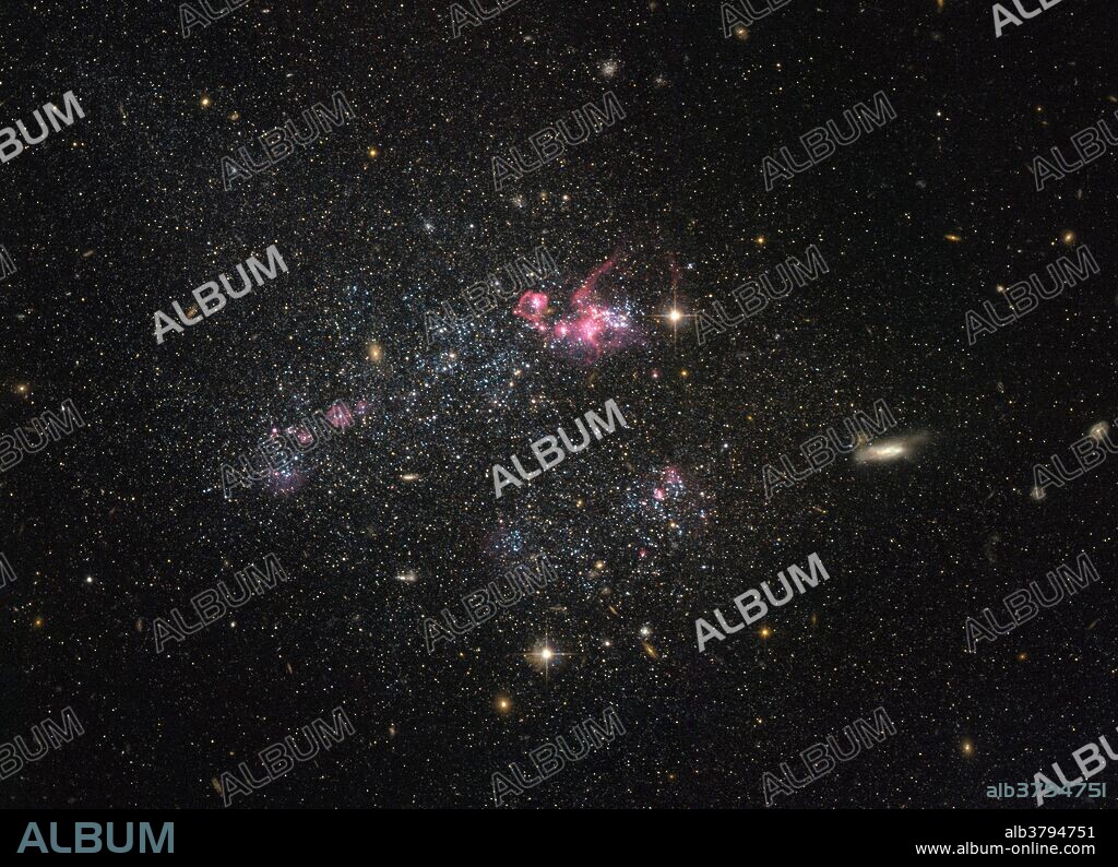 Irregular dwarf galaxies, such as the one captured in this Hubble Space Telescope image, are actually one of the most common types of galaxy in the Universe. Known as UGC 4459, this dwarf galaxy is located approximately 11 million light-years away in the constellation of Ursa Major (The Great Bear). UGC 4459's diffused and disorganised appearance is characteristic of an irregular dwarf galaxy. Lacking a distinctive structure or shape, irregular dwarf galaxies are often chaotic in appearance, with neither a nuclear bulge, nor any trace of spiral arms. Astronomers suspect that some irregular dwarf galaxies were once spiral or elliptical galaxies, but were later deformed by the gravitational pull of nearby objects.