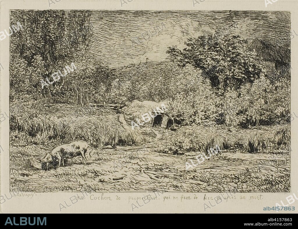 CHARLES FRANCOIS DAUBIGNY. Pig in an Orchard. Charles François Daubigny; French, 1817-1878. Date: 1855-1865. Dimensions: 103 × 158 mm (image); 120 × 169 mm (plate); 264 × 395 mm (sheet). Etching on cream laid paper. Origin: France.