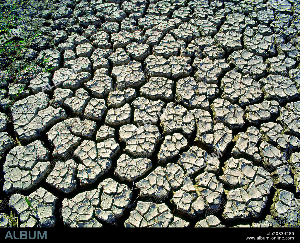 TERRENO AGRIETADO POR LA SEQUIA.