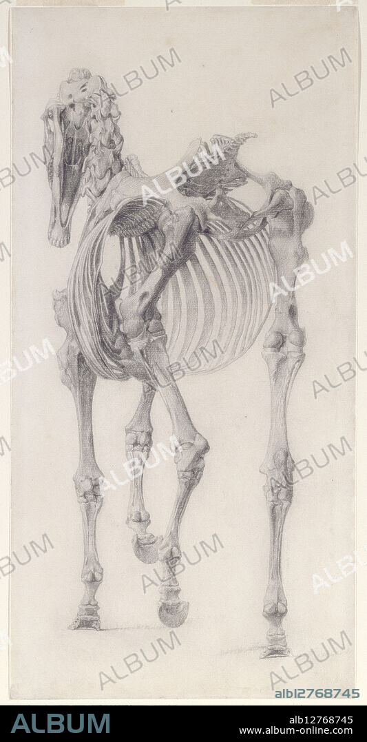 GEORGE STUBBS. Finished study for 'The Third Anatomical Table of the Skeleton of the Horse', 1756.