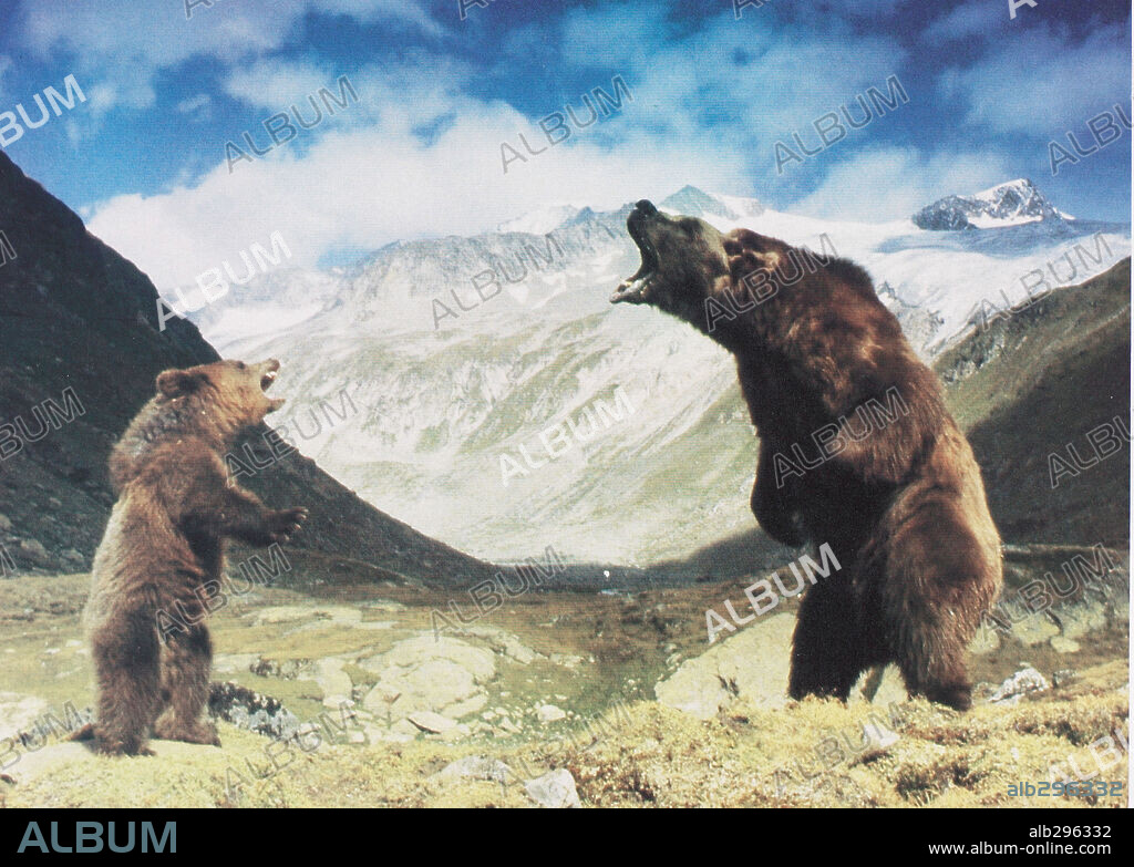 THE BEAR, 1988 (L' OURS), directed by JEAN-JACQUES ANNAUD. Copyright TRI STAR PICTURES.