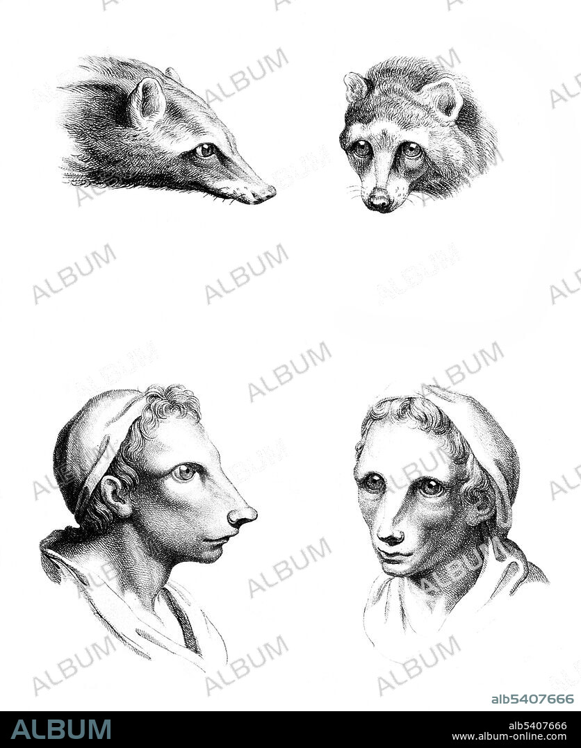 The goal of physiognomy is to judge character according to features of the face. Charles Le Brun (February 24, 1619 - February 12, 1690) was a French painter, art theorist, interior decorator and court painter to Louis XIV. Deeply influenced by the work of Descartes's Passions of the Soul (1649) Le Brun’s sketches of human faces (with anthropomorphic renderings of their animal inspirations) display the way in which he measured the various angles and spaces of the human face to relate them to the brain’s pineal gland (location of the soul according to Descartes). By observing these angles, Le Brun was able to discern personality traits from each of his figures.
