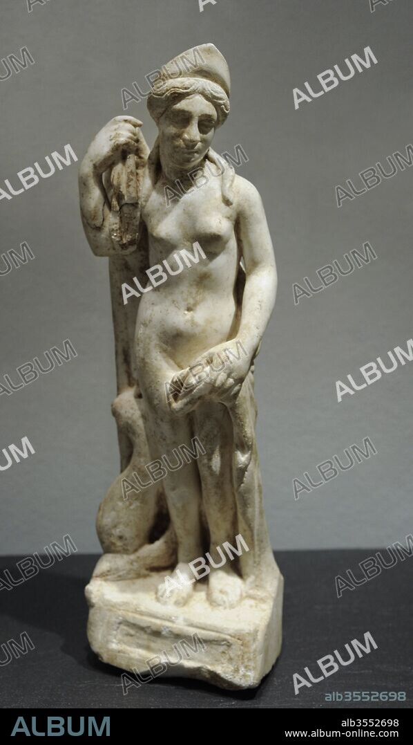 Venus and the mirror. Statuette of the Goddess with cape covering her back. Marble. 3rd century. Roman-Germanic Museum. Cologne. Germany.